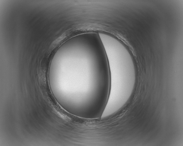 X0000080700489200612150840
