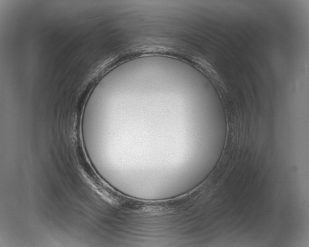 X0000080700490200612150840