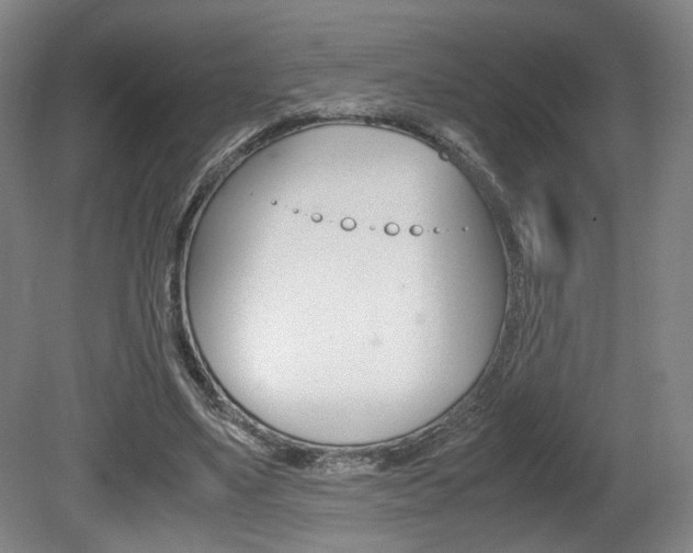 X0000080700491200612150840