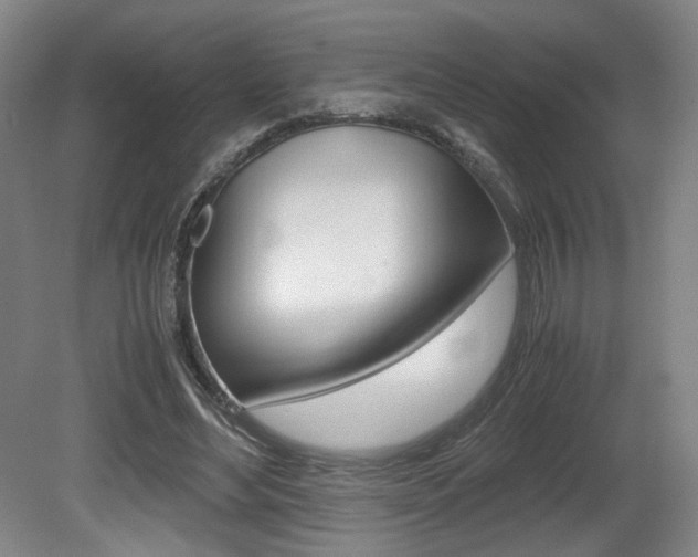 X0000080700492200612150840