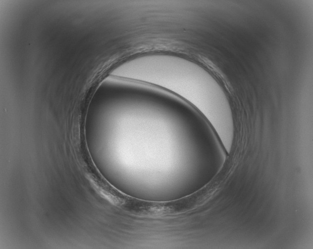 X0000080700493200612150840