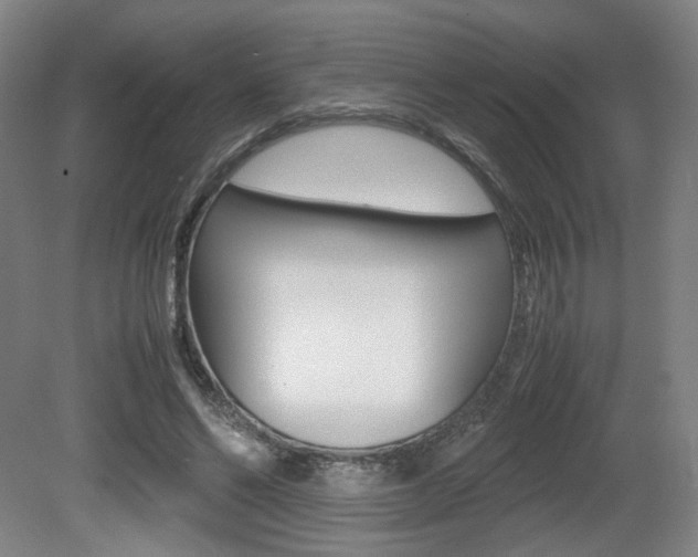 X0000080700494200612150840