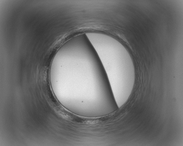 X0000080700495200612150840