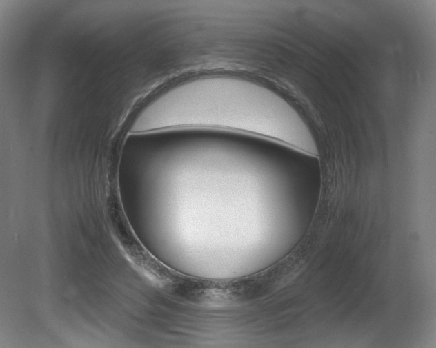 X0000080700496200612150840