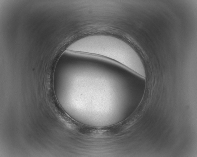 X0000080700497200612150840