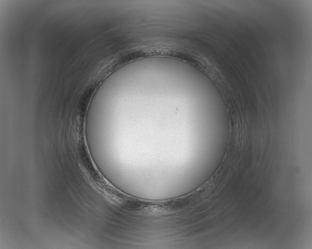 X0000080700498200612150840