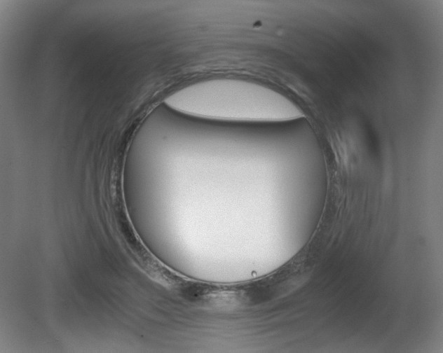 X0000080700499200612150840
