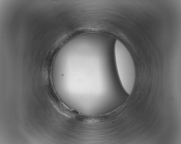 X0000080700500200612150840