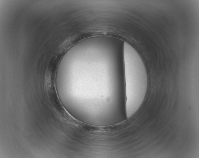 X0000080700504200612150840