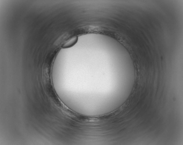 X0000080700506200612150840