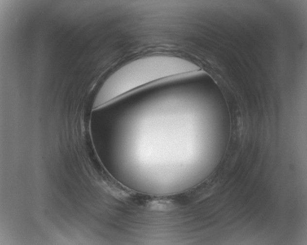 X0000080700508200612150840