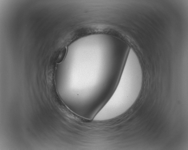 X0000080700509200612150840