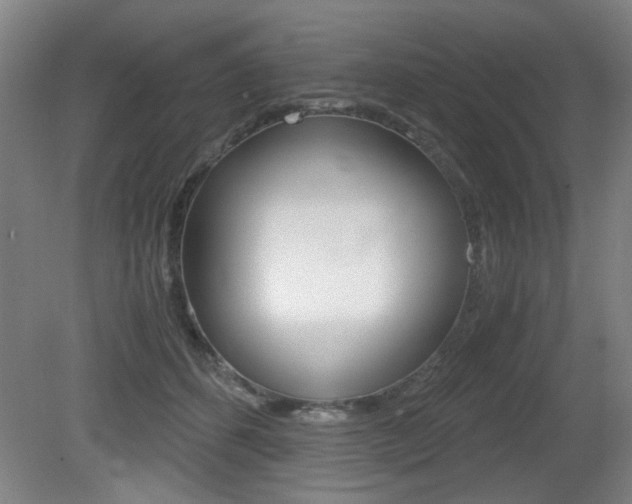 X0000080700512200612150840
