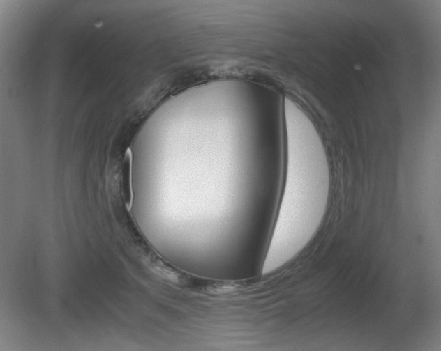 X0000080700513200612150840