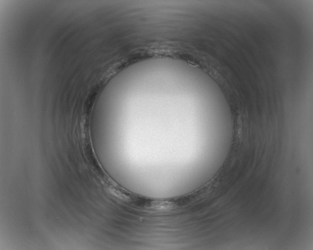X0000080700514200612150840