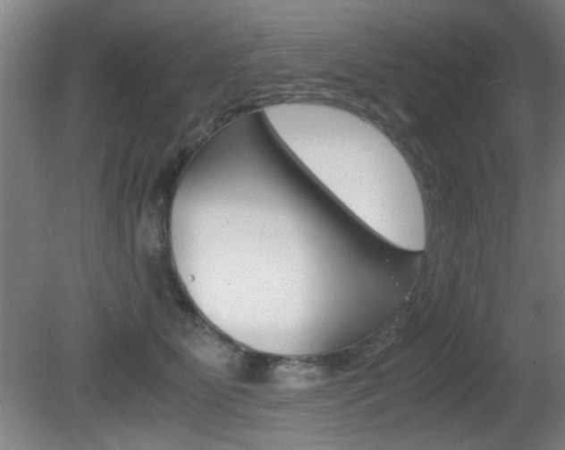X0000080700515200612150840