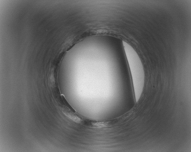 X0000080700516200612150840
