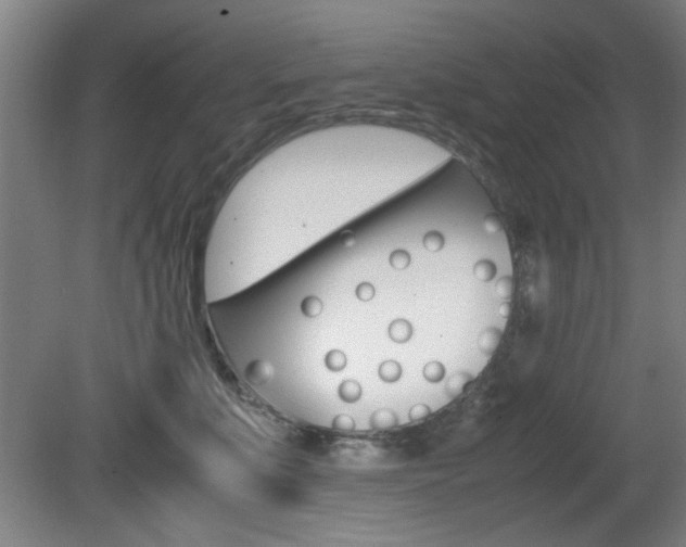 X0000080700519200612150840