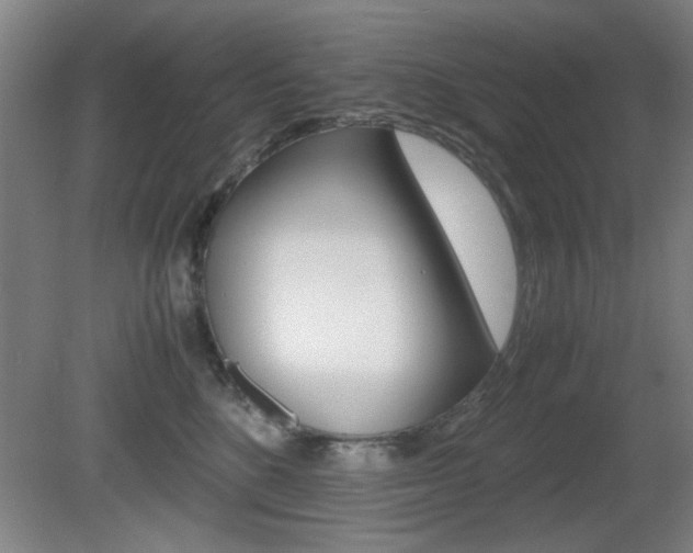 X0000080700520200612150840