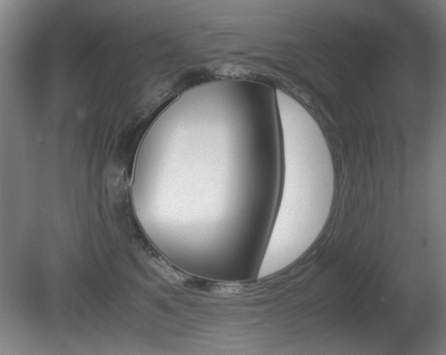 X0000080700521200612150840
