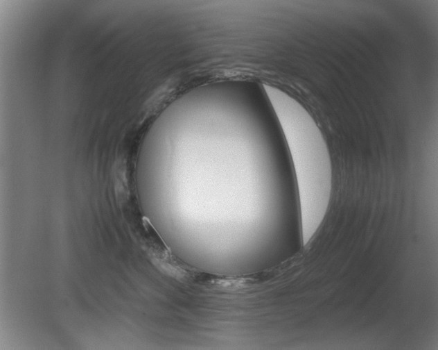 X0000080700524200612150840