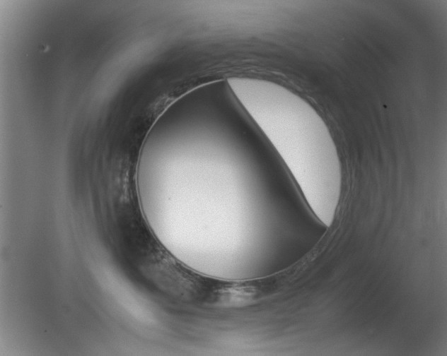 X0000080700525200612150840