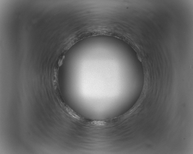 X0000080700528200612150840