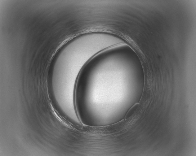 X0000080700530200612150839