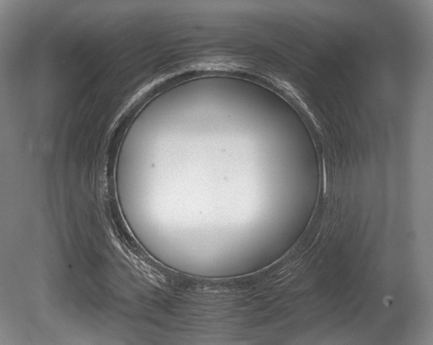 X0000080700531200612150839