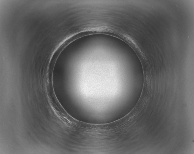 X0000080700532200612150839
