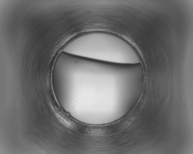 X0000080700533200612150839