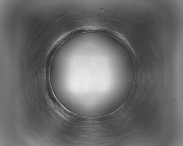 X0000080700535200612150839