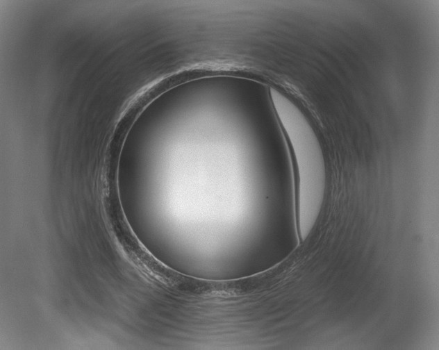 X0000080700536200612150839