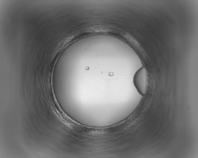 X0000080700537200612150839