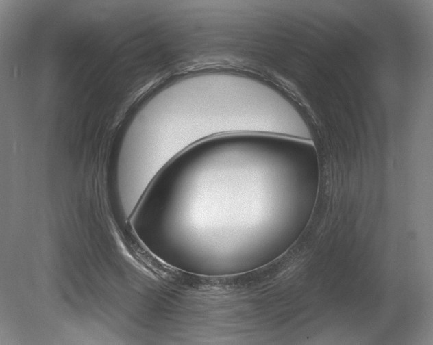 X0000080700538200612150839