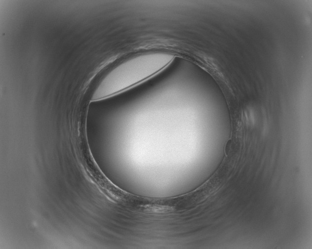 X0000080700539200612150839