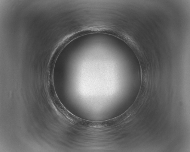 X0000080700540200612150839
