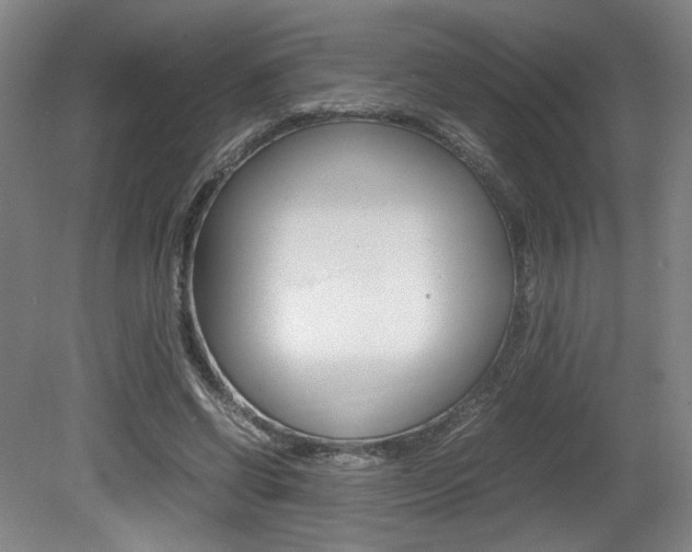 X0000080700542200612150839