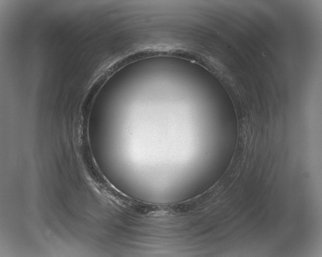 X0000080700544200612150839