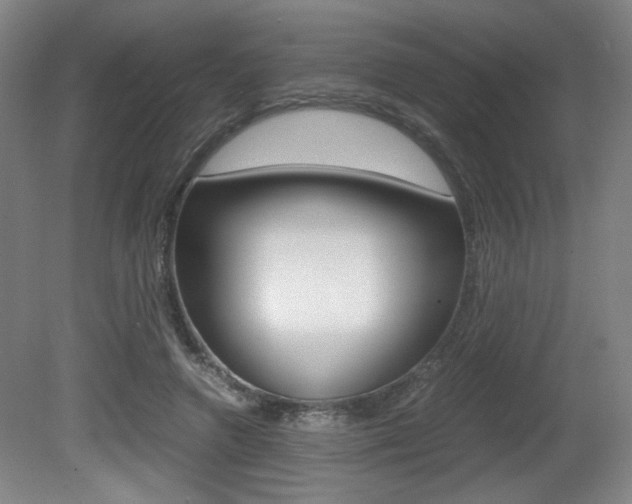 X0000080700546200612150839