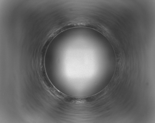 X0000080700548200612150839