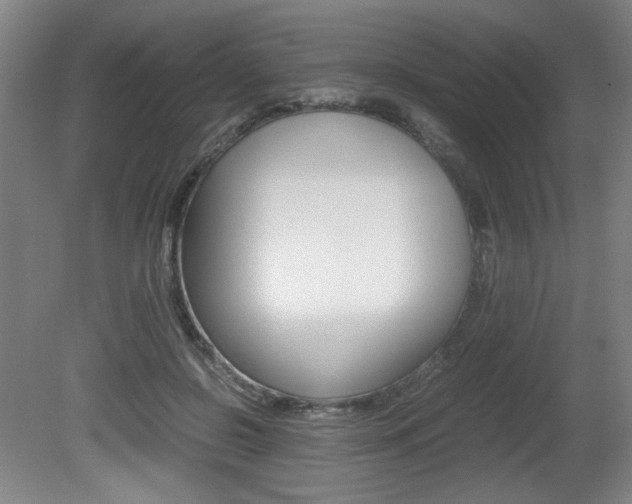 X0000080700550200612150839