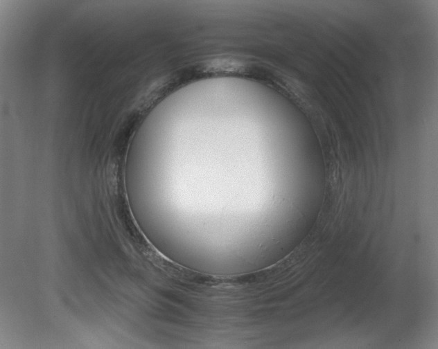 X0000080700551200612150839