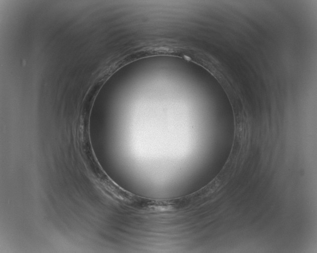 X0000080700552200612150839