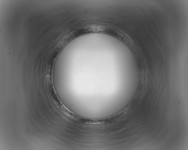 X0000080700553200612150839