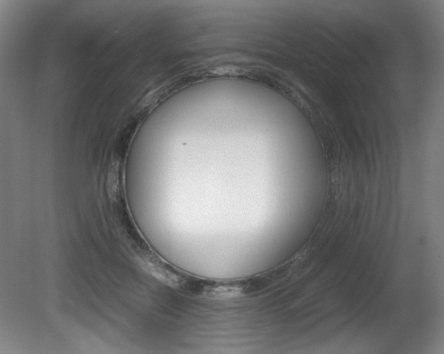 X0000080700554200612150839