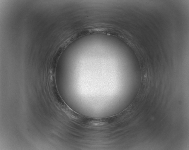 X0000080700555200612150839