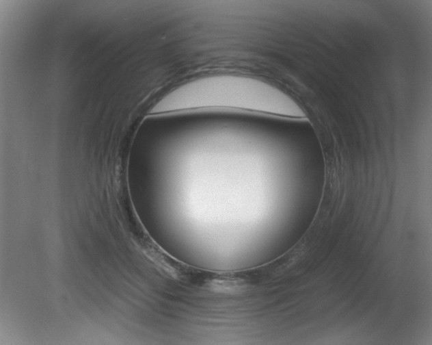 X0000080700556200612150839