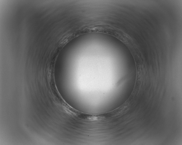 X0000080700558200612150839
