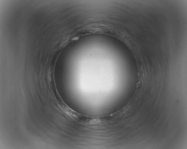 X0000080700562200612150839